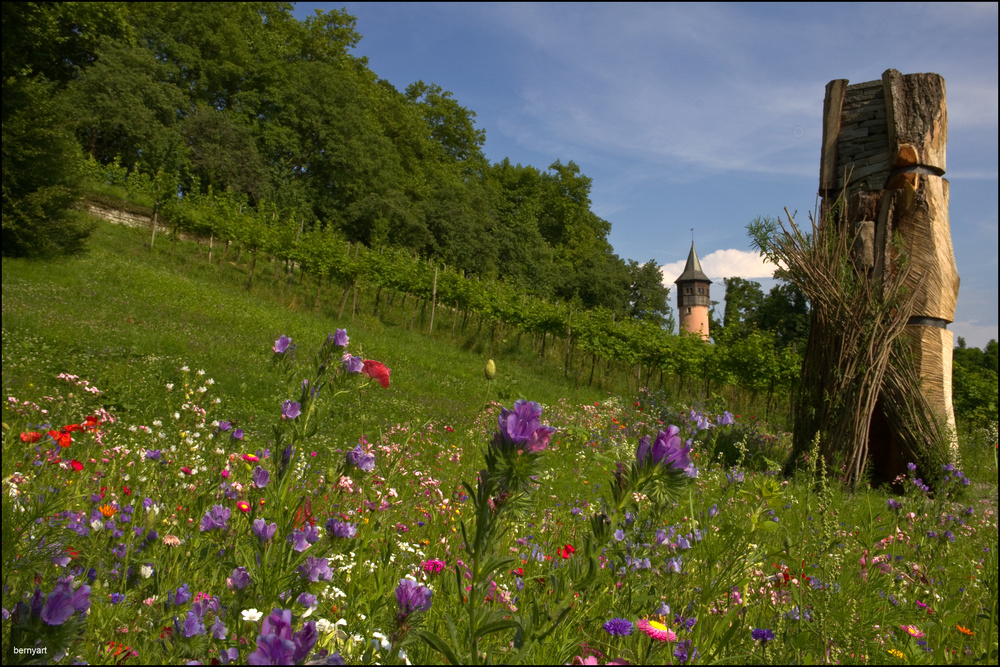 Mainau