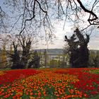 [Mainau 9] *Schwedenturm*