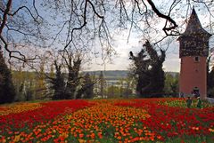 [Mainau 9] *Schwedenturm*