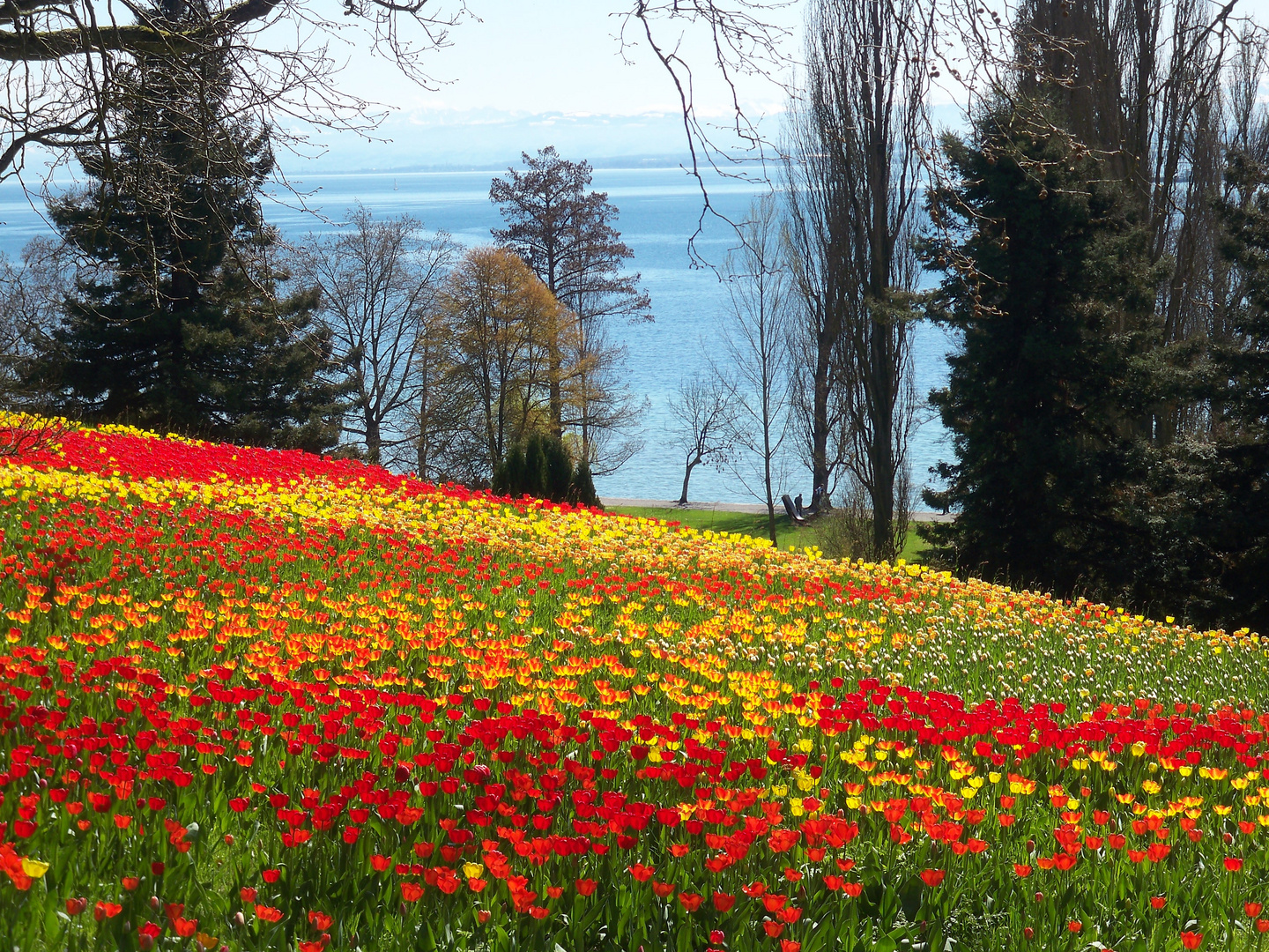 Mainau an Ostern