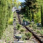 Mainau (Bodensee) 2