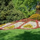 Mainau (Bodensee) 3