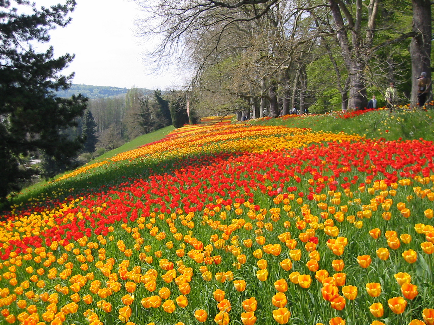 Mainau Bodensee