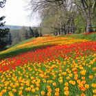 Mainau Bodensee