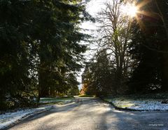 Mainau