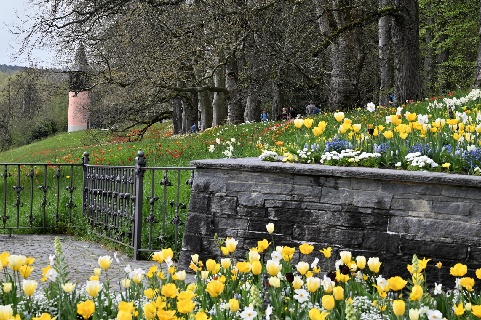 Mainau DSC_5390