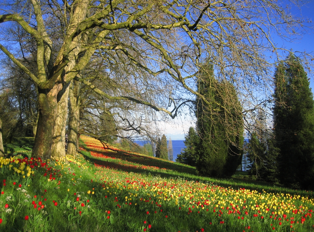 Mainau