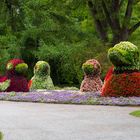 Mainau Figuren aus Blumen gersteckt