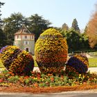 Mainau-Frühlingserwachen 2017