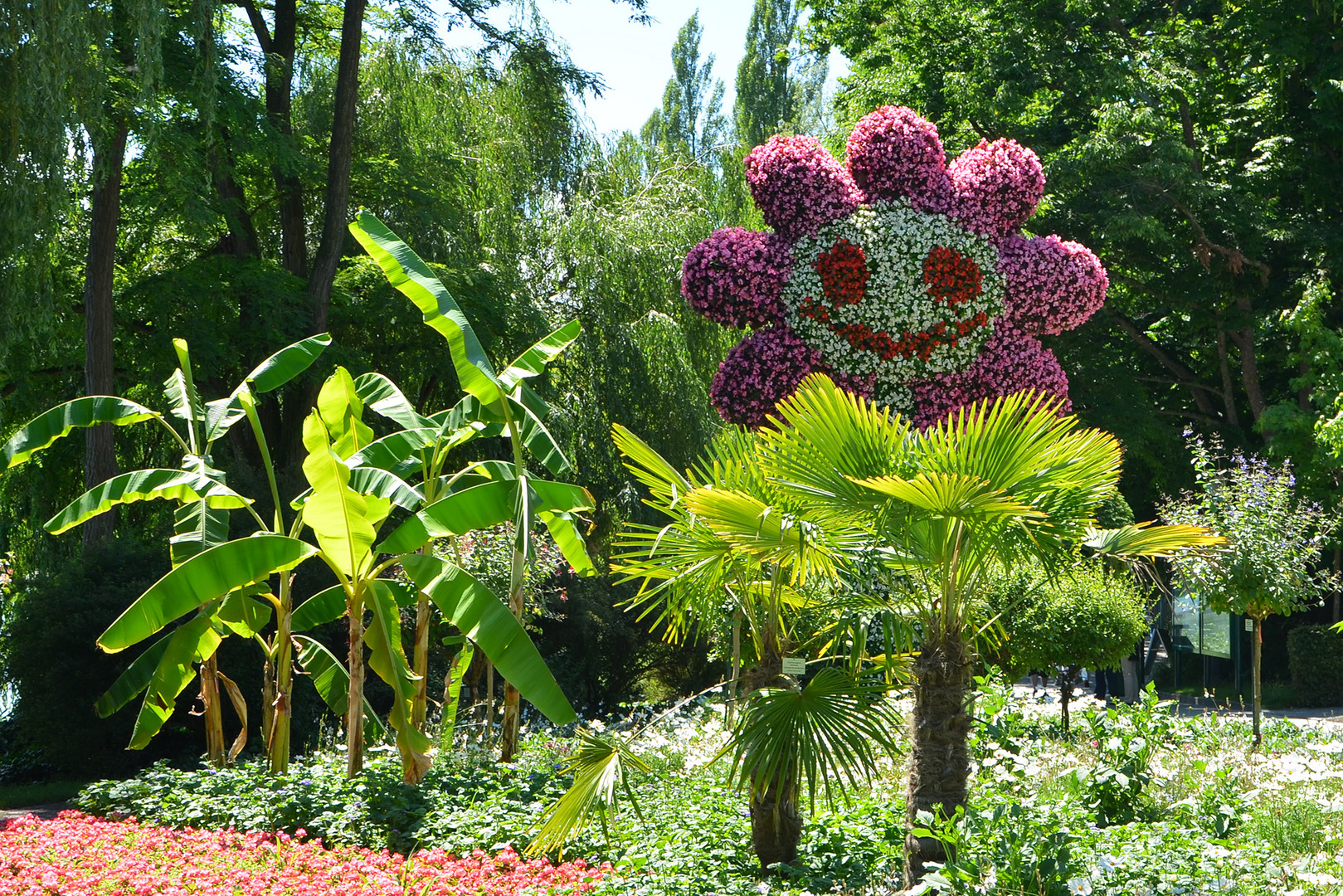 Mainau im Juli, Mainau strahlend schön