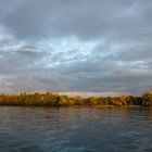 Mainau in der Abendsonne