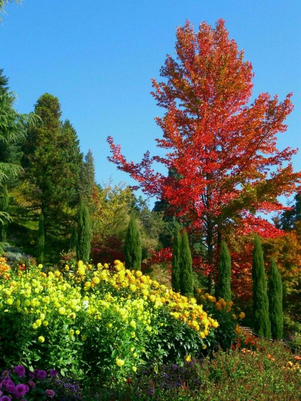 Mainau in November