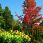 Mainau in November