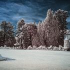 Mainau IR