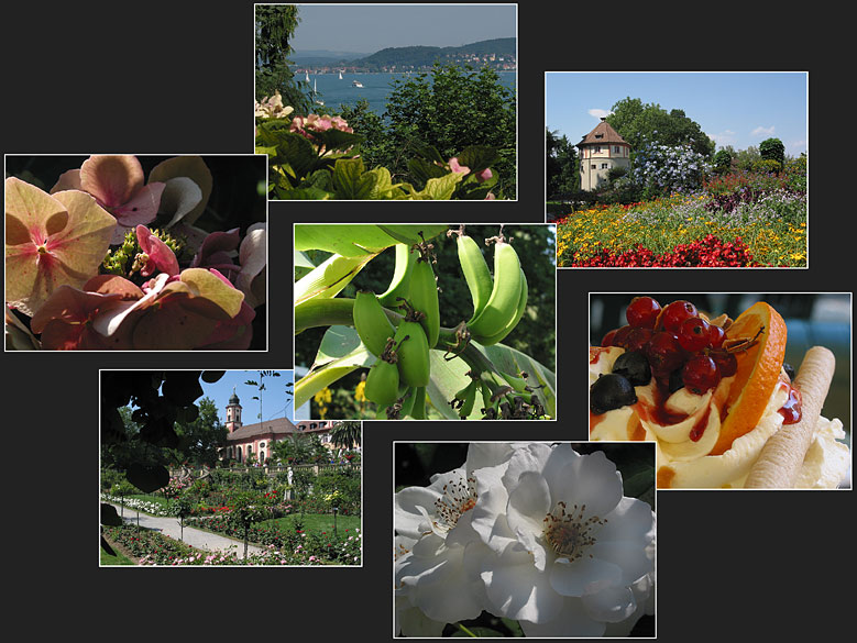 Mainau-Momente