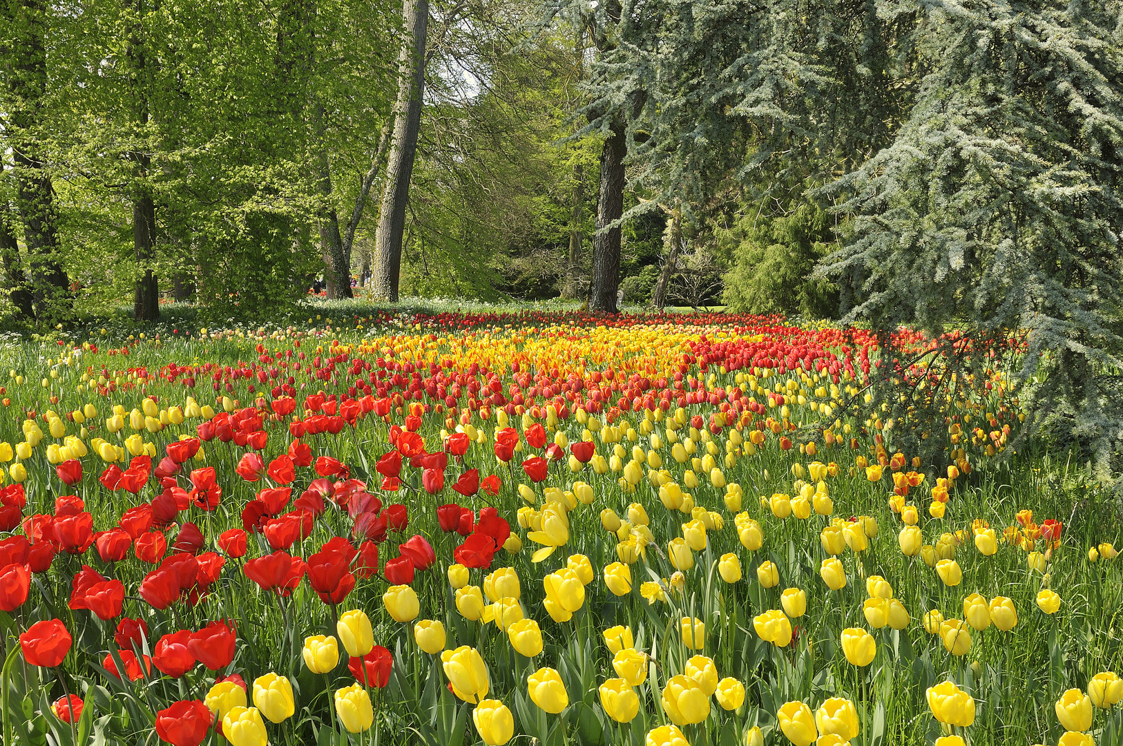 Mainau Ostersonntag