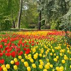 Mainau Ostersonntag