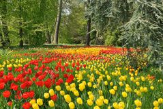 Mainau Ostersonntag