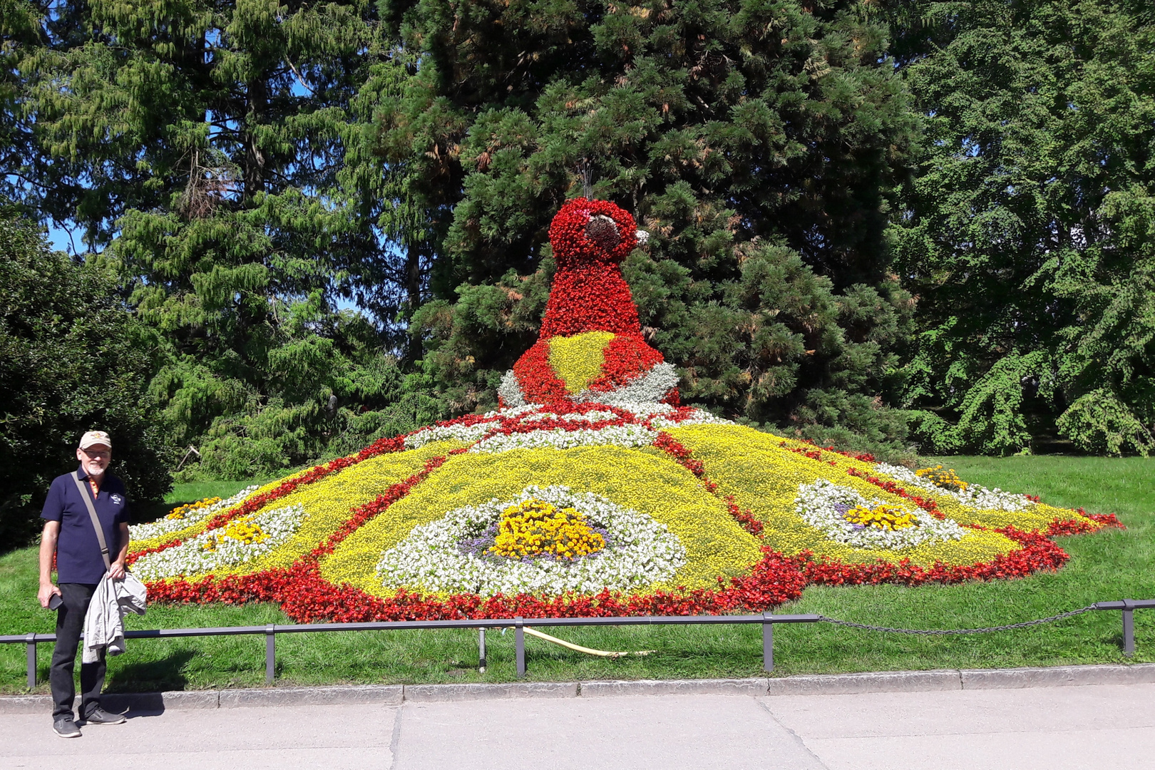 Mainau Pfau