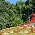 Mainau-Pfau