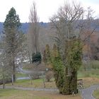 Mainau-Rundtour ...