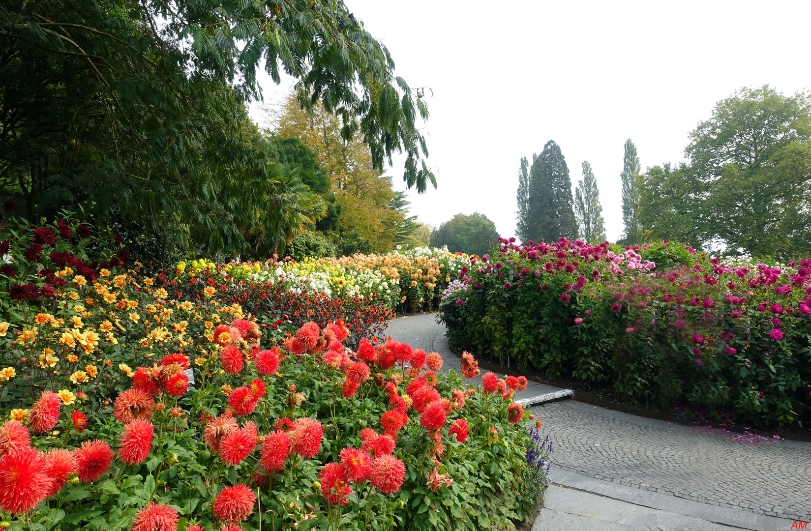 Mainau-Spaziergang