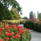 Mainau-Spaziergang