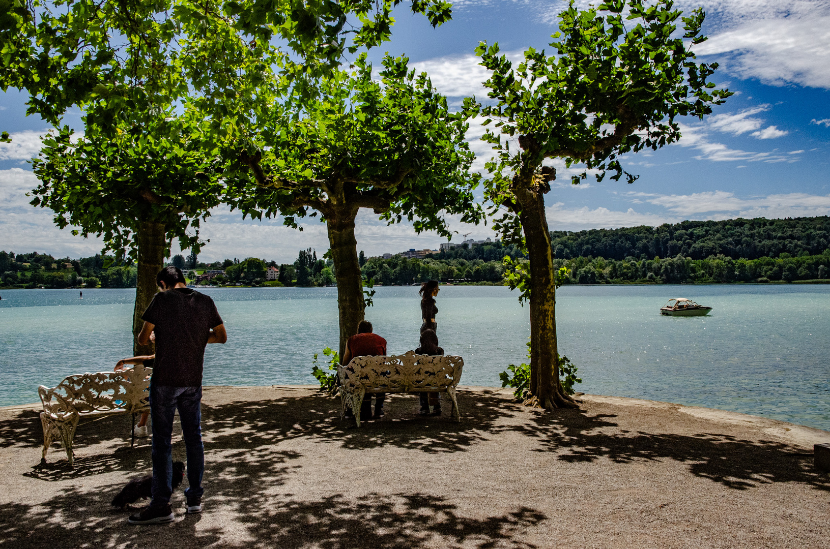 Mainaublick auf´s Wasser