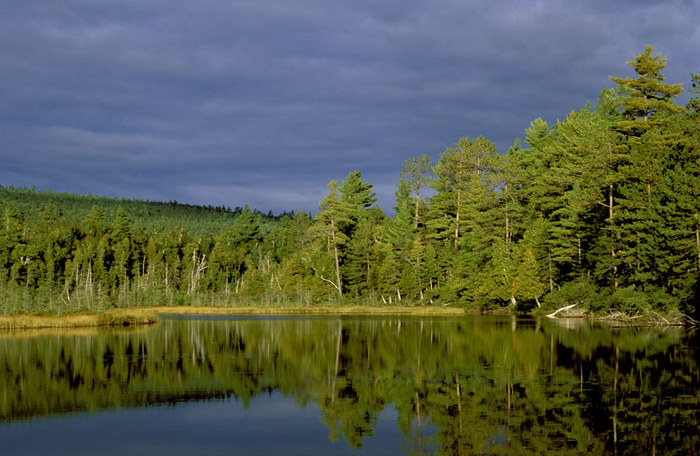 Maine - Baxter State Park 01