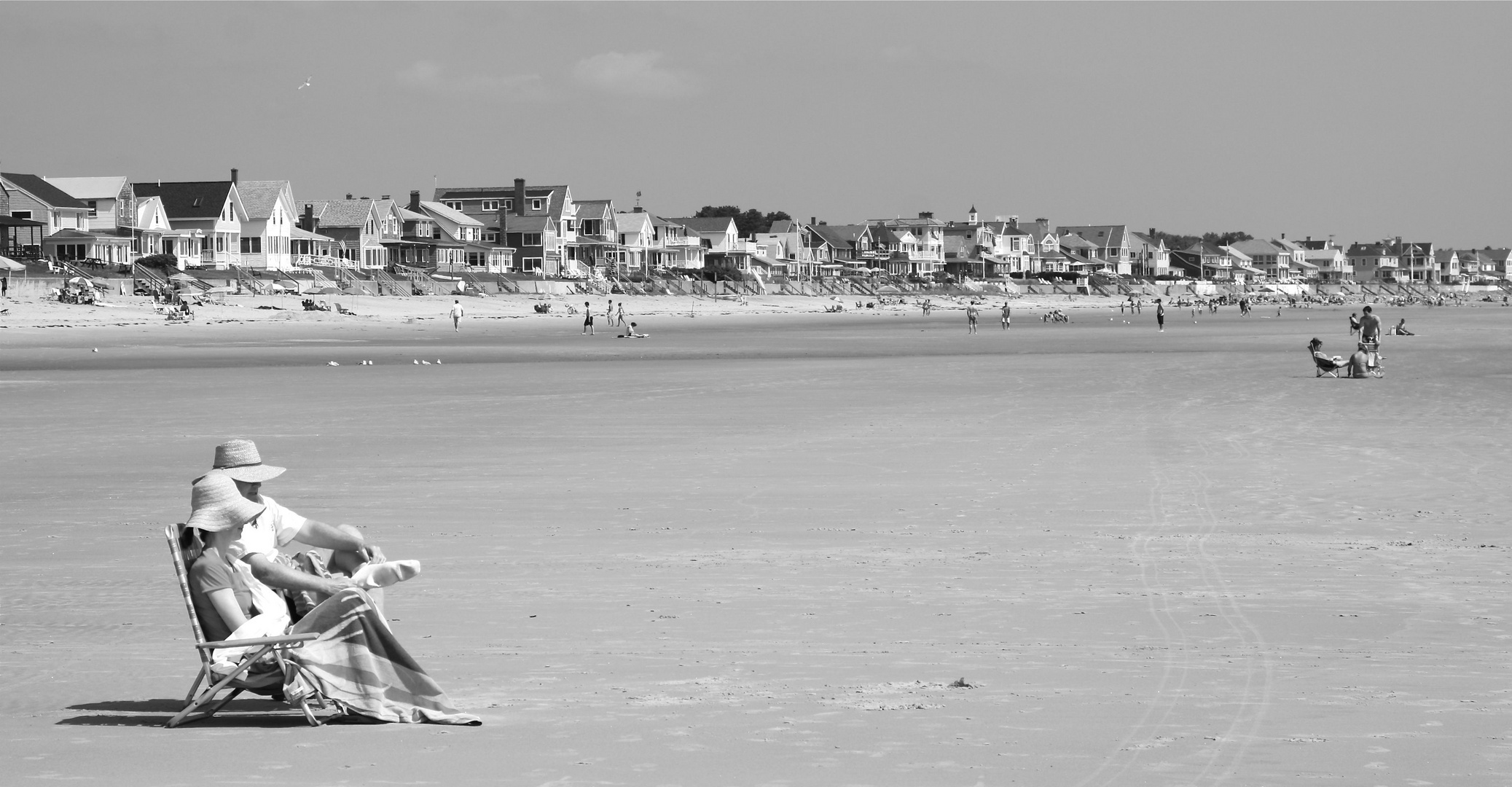 Maine Beach Life