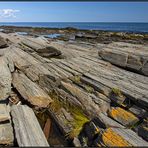 Maine | Cape Elizabeth |