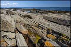 Maine | Cape Elizabeth |