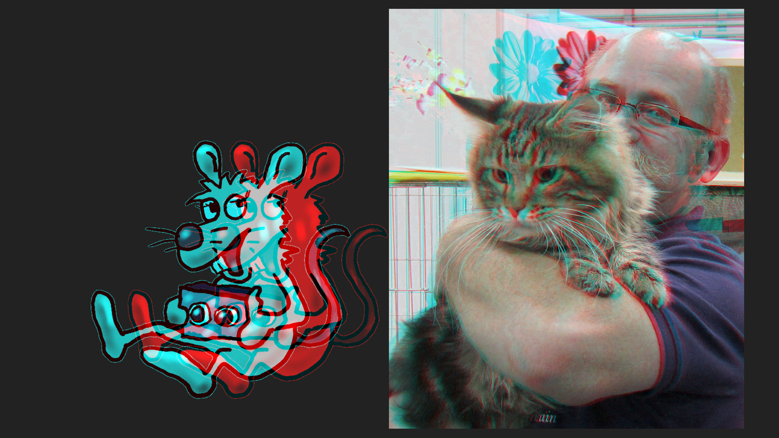 Maine Coon... (3D-Foto)