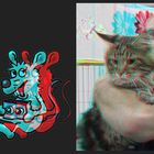 Maine Coon... (3D-Foto)