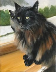 Maine Coon