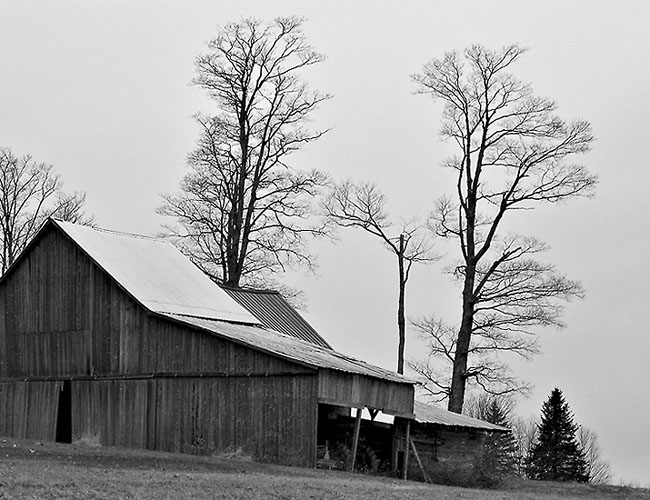 Maine Farm Buildings