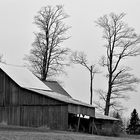 Maine Farm Buildings