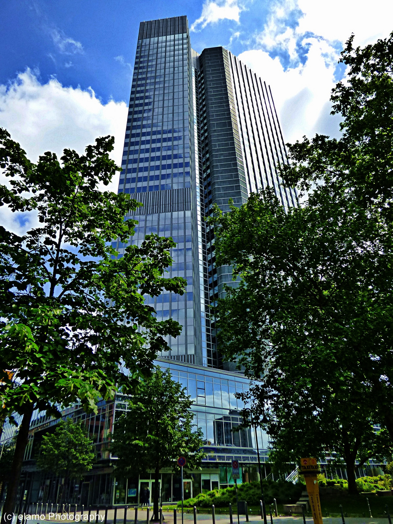 Mainhattan - Frankfurt