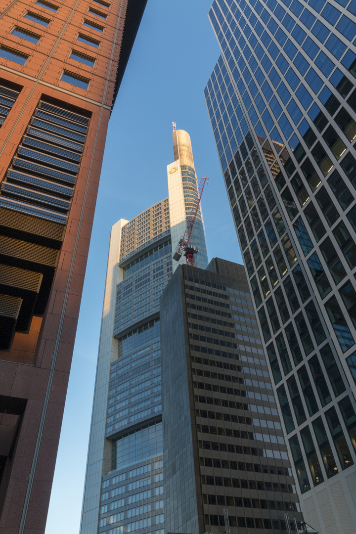 Mainhatten im Abendlicht 