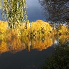 Mainherbstspiegelung