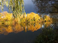 Mainherbstspiegelung