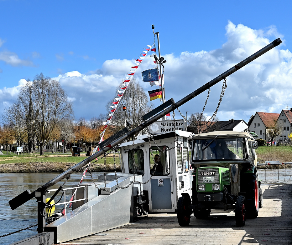 "Mainkuh" mit  “Dieselroß“