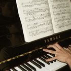 Mains de Pianiste-