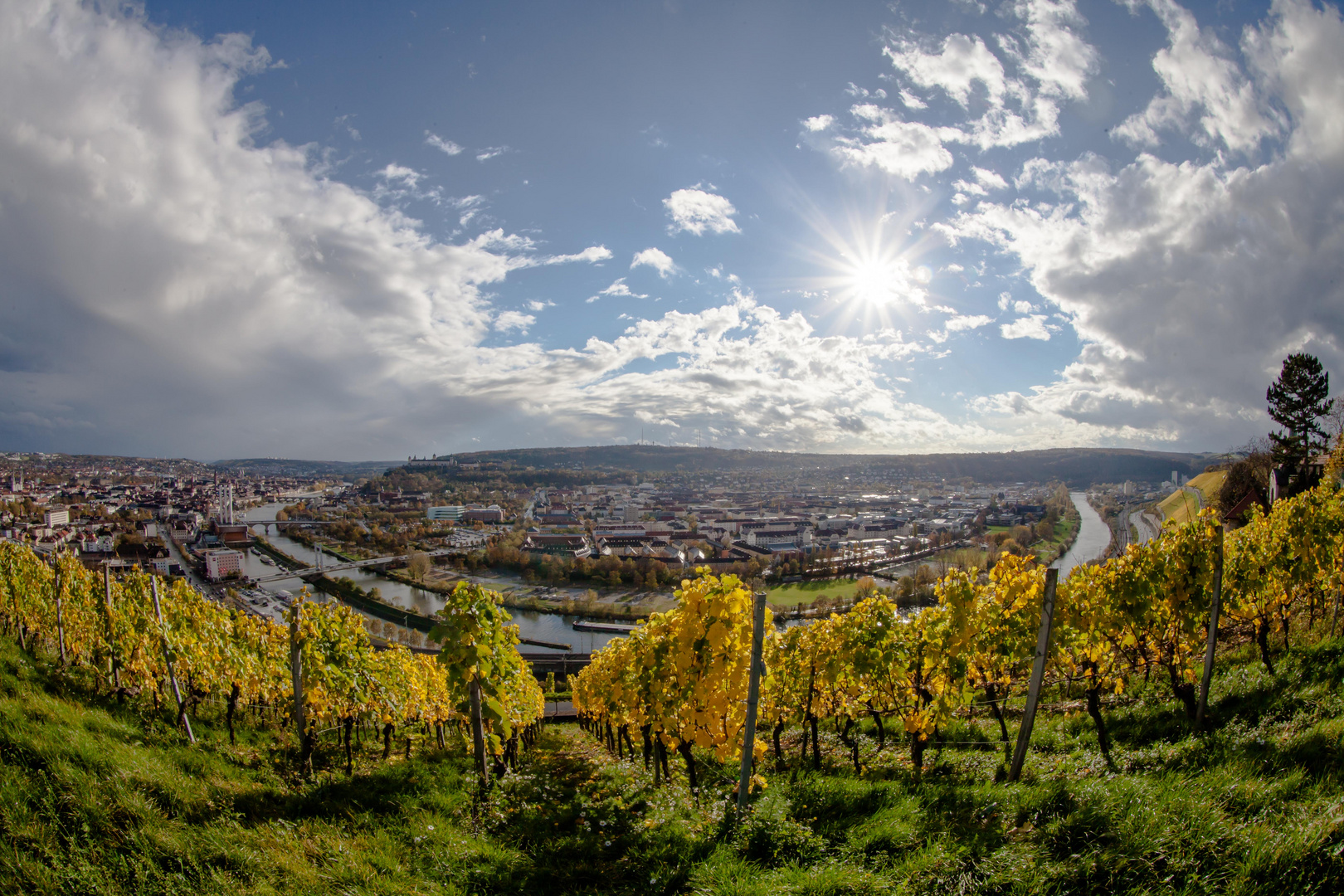 Mainschleife Würzburg im Herbst