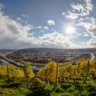 Mainschleife Würzburg im Herbst