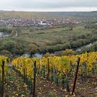 Mainschleifen-Panorama