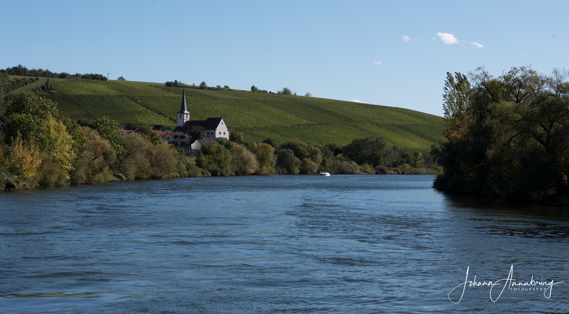 Mainschleife_Weinberge