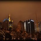 Mainufer / Blick auf die Skyline FRANKFURT