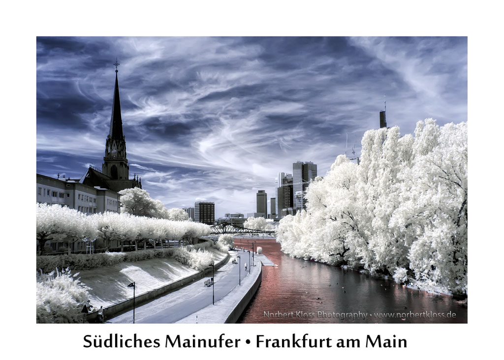 Mainufer Frankfurt am Main