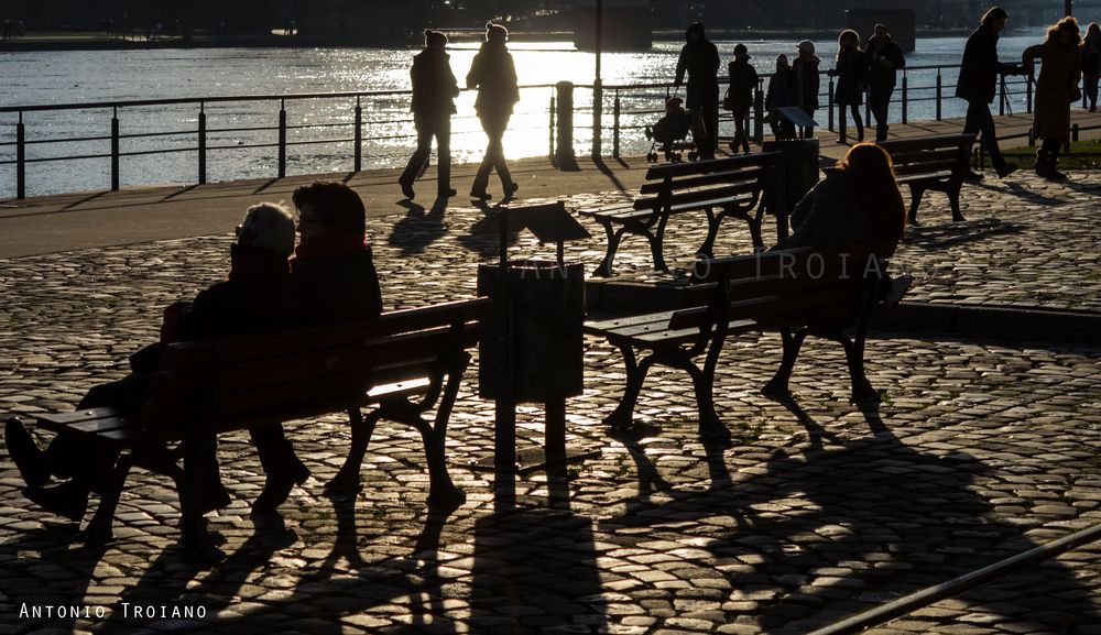 Mainufer Frankfurt am Main